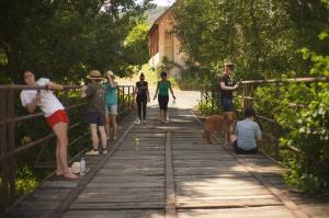 Camp Photograph Photo